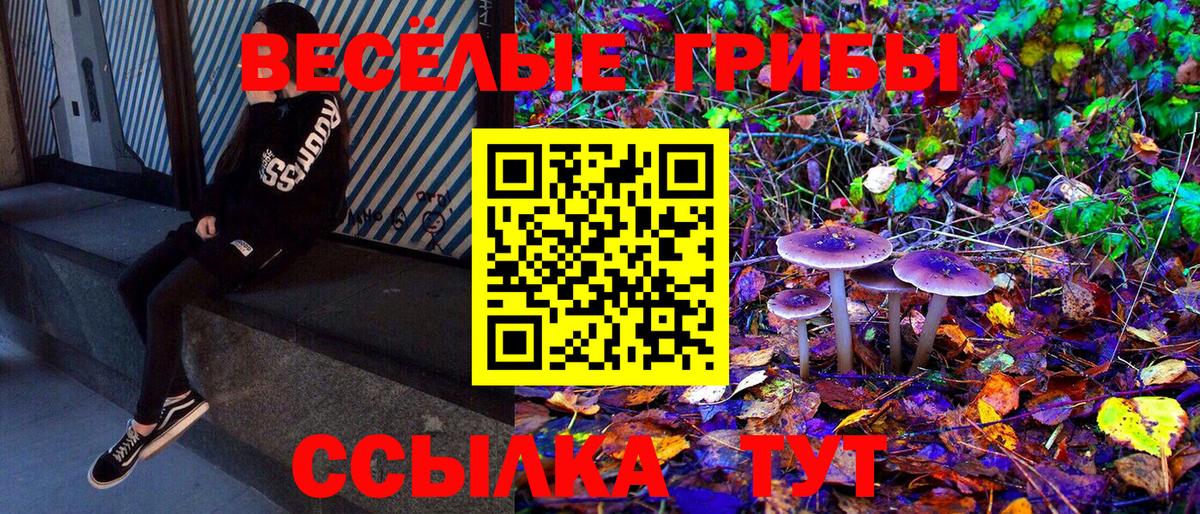 Похвистнево  Псилоцибиновые грибы MAGIC MUSHROOMS  Вход с VPN  Псилоцибиновые грибы Cubensis 